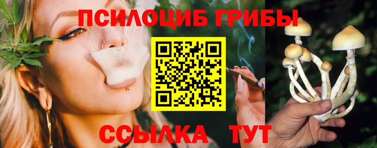 Псилоцибиновые грибы Cubensis  Вход с VPN  Волоколамск 